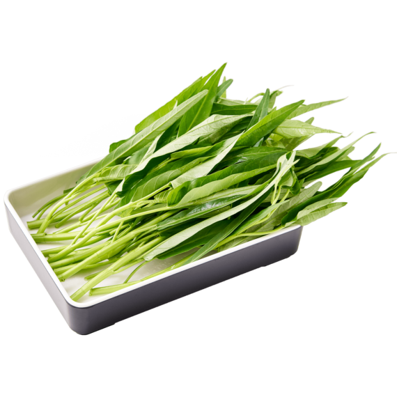 ผักบุ้ง