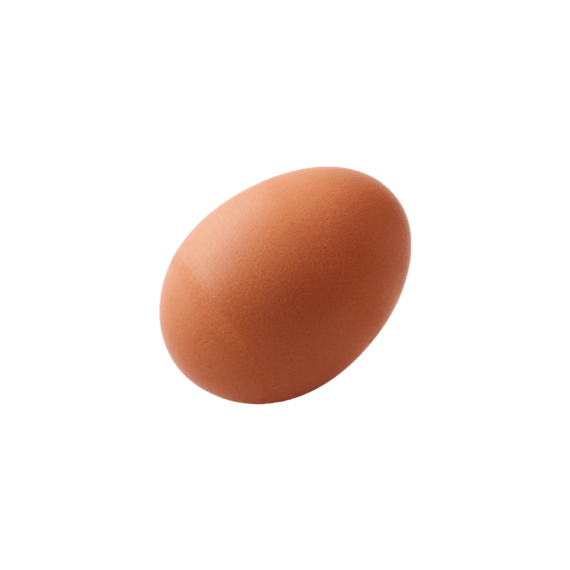ไข่ไก่